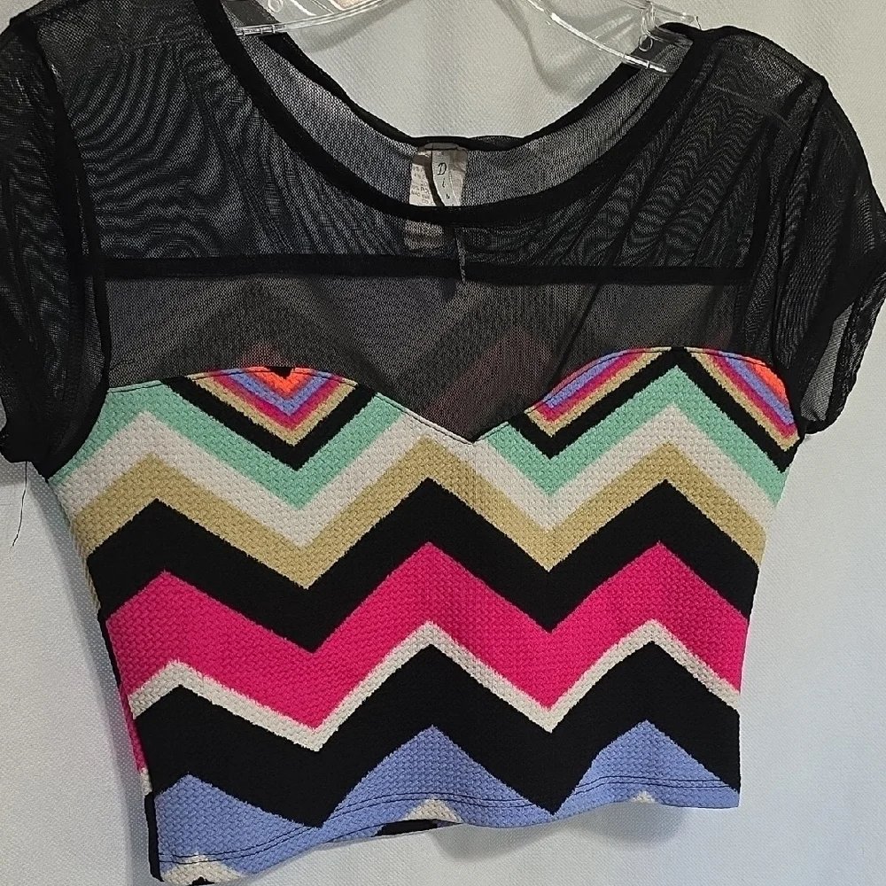 Discreet Multicolor Chevron Mesh Crop Top - Picture 4 of 6